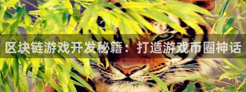 沐鸣2平台主管