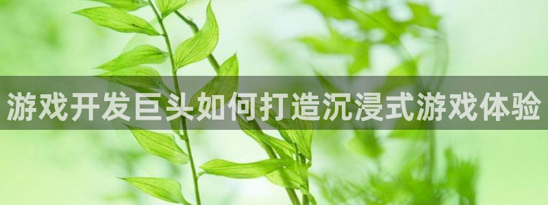 沐鸣娱乐2登陆不上怎么办