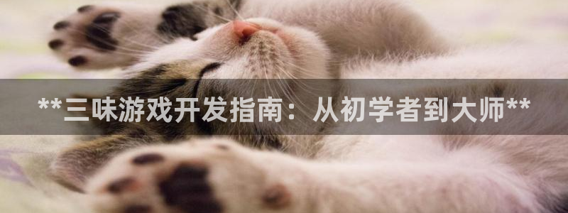 沐鸣2平台代理注册
