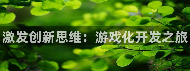 沐鸣2平台主管