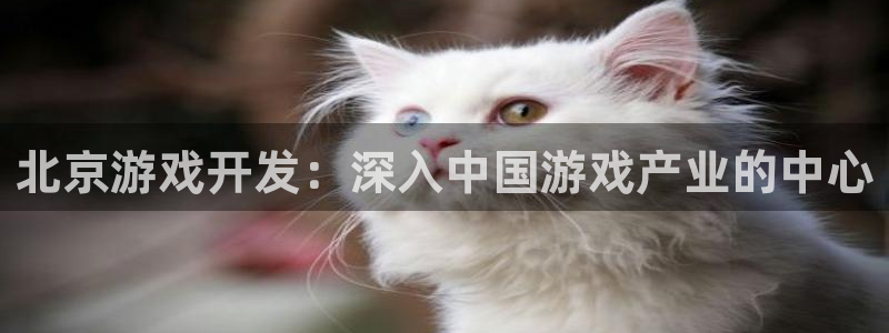 沐鸣2多少年