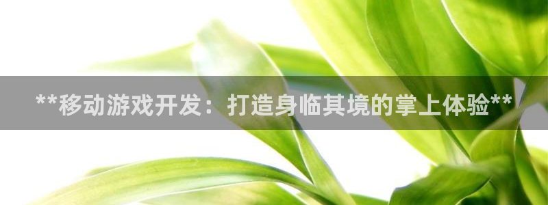 沐鸣2官网 5O6917
