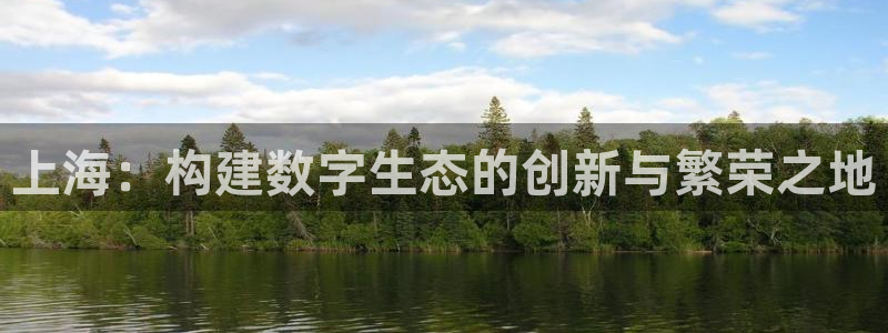 沐鸣2娱乐平台注册：上海：构建数字生态的创新与繁荣之地