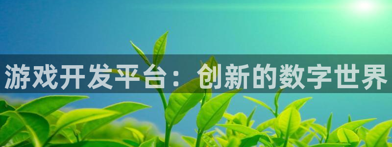 沐鸣2平台注册：游戏开发平台：创新的数字世界