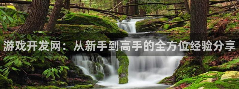 沐鸣娱乐2游戏说明：游戏开发网：从新手到高手的全方位经验分享