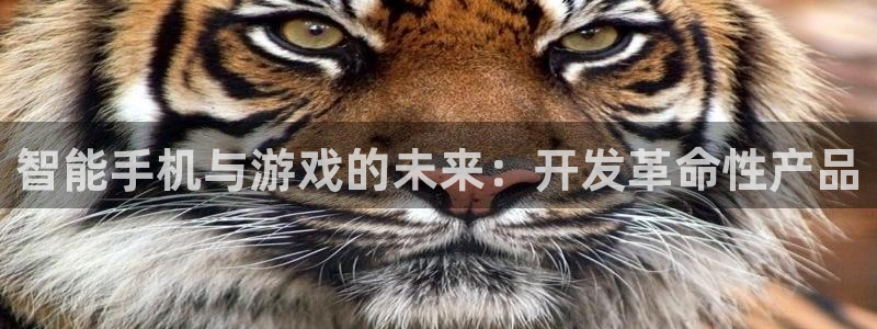 沐鸣娱乐2平台：智能手机与游戏的未来：开发革命性产品