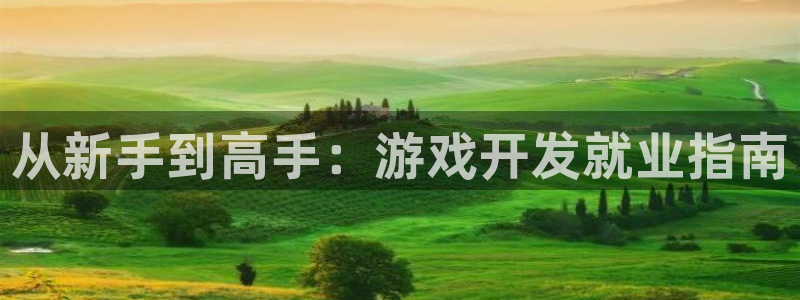 沐鸣娱乐2注册地址：从新手到高手：游戏开发就业指南