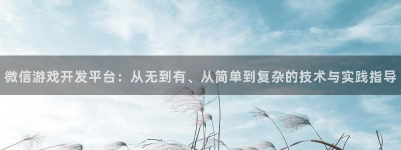 沐鸣2官方注册：微信游戏开发平台：从无到有、从简单到复杂的技术与实践指导