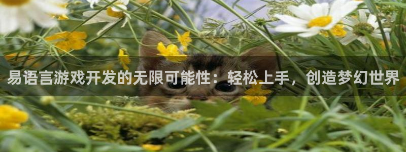 沐鸣娱乐2上来77542
