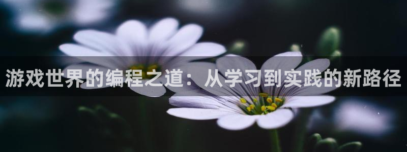 沐鸣2测速登陆