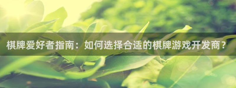 沐鸣娱乐2返点：棋牌爱好者指南：如何选择合适的棋牌游戏开发商？