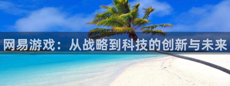 沐鸣2注册平台：网易游戏：从战略到科技的创新与未来