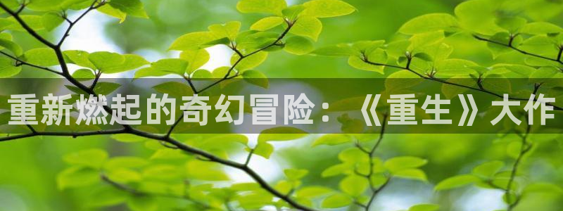 沐鸣2平台线路：重新燃起的奇幻冒险：《重生》大作