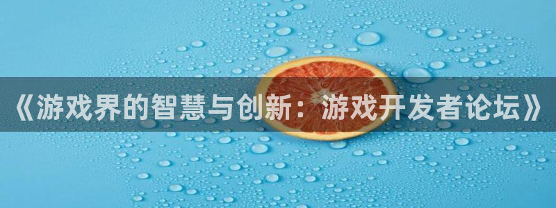 沐鸣2多少年：《游戏界的智慧与创新：游戏开发者论坛》