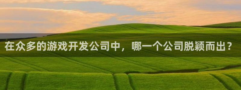 沐鸣2娱乐平台注册：在众多的游戏开发公司中，哪一个公司脱颖而出？