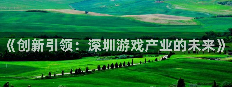 沐鸣2app下载：《创新引领：深圳游戏产业的未来》
