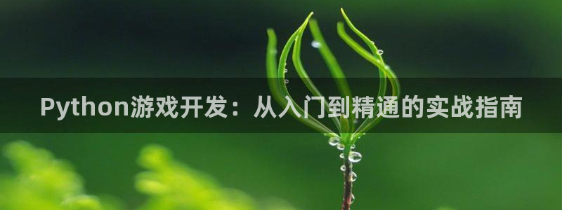沐鸣娱乐2是正规平台么：Python游戏开发：从入门到精通的实战指南