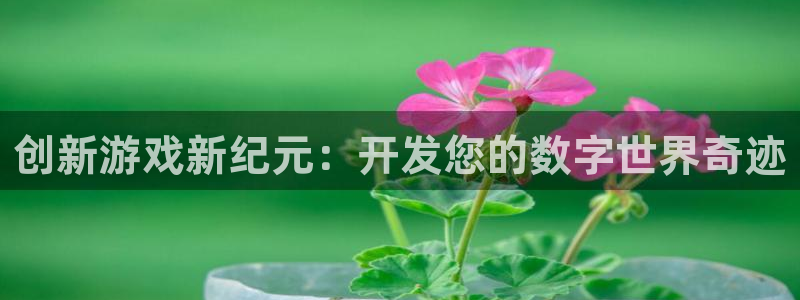 沐鸣娱乐2官方网站：创新游戏新纪元：开发您的数字世界奇迹