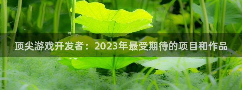 沐鸣2代理官网：顶尖游戏开发者：2023年最受期待的项目和作品