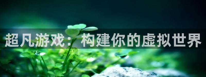 沐鸣2平台代理：超凡游戏：构建你的虚拟世界